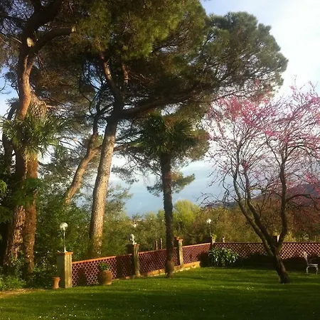 Montallegro Gasthof Sarzana