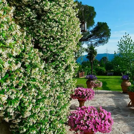 Montallegro Gasthof Sarzana